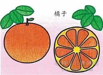 幼儿园水果简笔画教案《橘子》