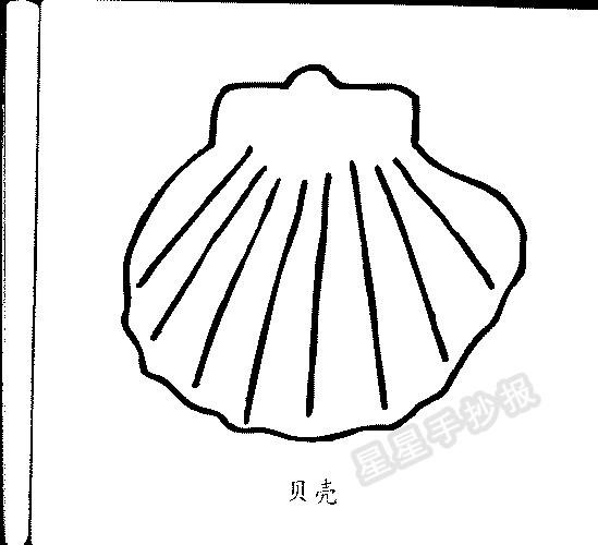 贝壳简笔画图片步骤教程