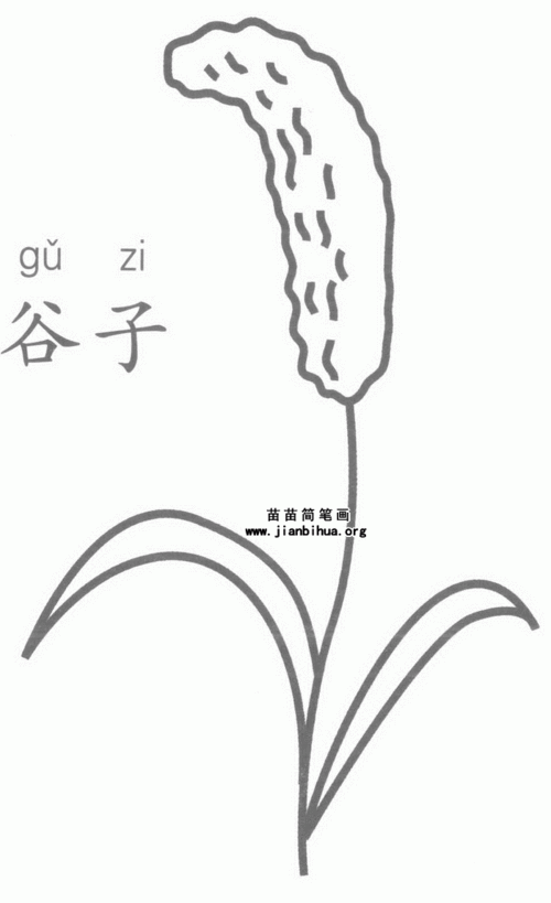 谷子简笔画图片教程