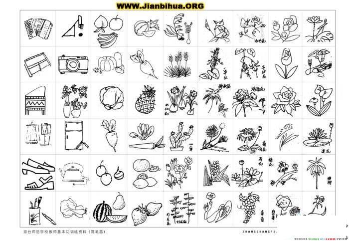 100种植物的简笔画图片8张