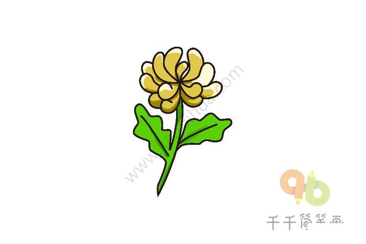 菊花简笔画1