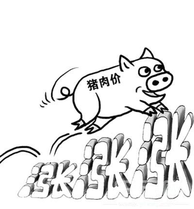 简笔画炸猪肉排