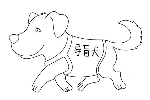 导盲犬简笔画怎么画简单又好看