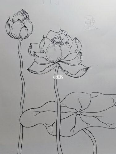 古风荷花简笔画古风荷花简笔画二次元