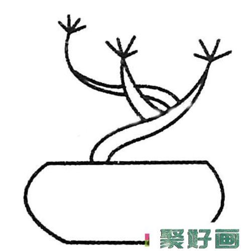 小树盆景简笔画图片大全怎么画简笔画教程