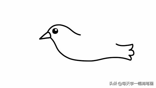 白鸽简笔画三步完成白鸽子简笔画的画法