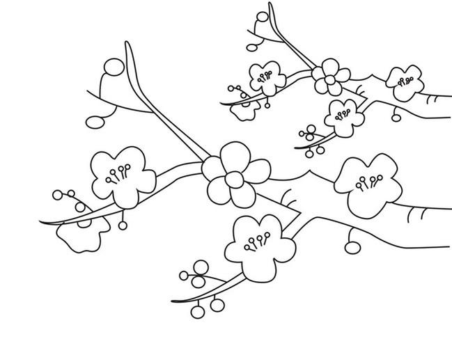 腊梅简笔画简单的腊梅简笔画图片