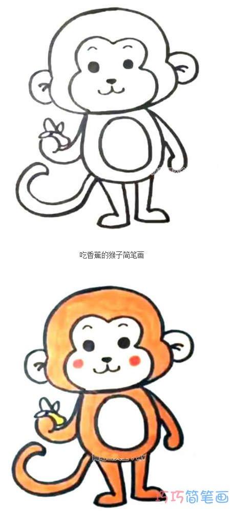 猴子简笔画图片大全