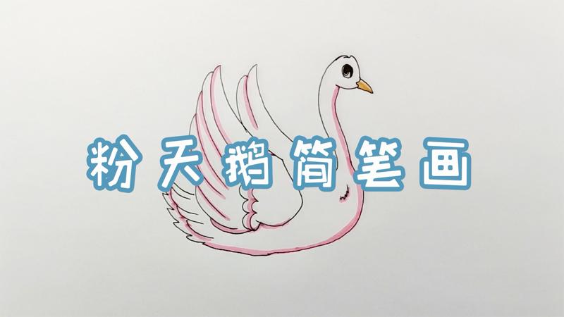 粉天鹅简笔画