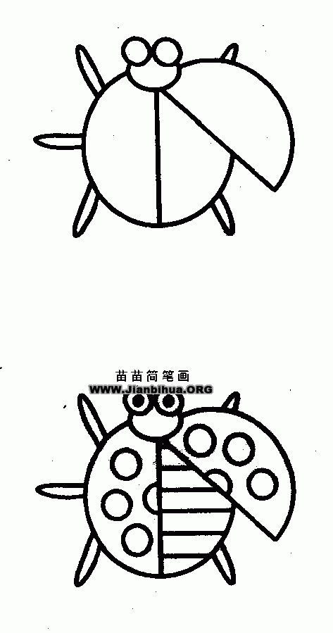 七星瓢虫简笔画画法教程