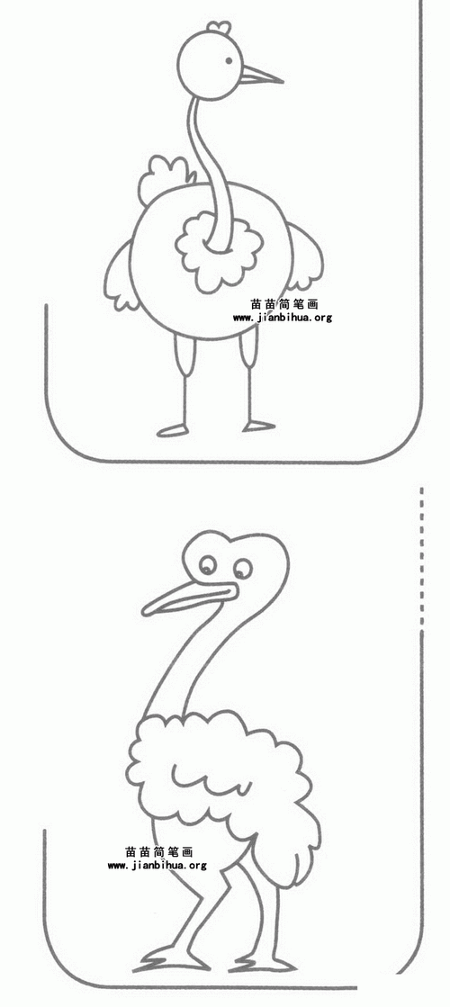 鸵鸟简笔画图片教程二