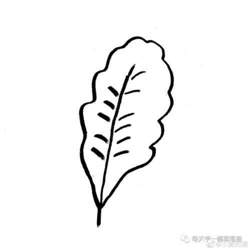 每天学一幅简笔画-爱的秋叶和秋实大家画秋天的小画儿或手抄报时可以