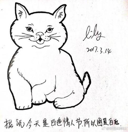 简笔画胖的猫