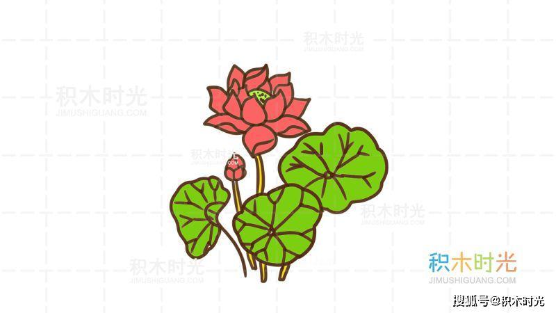 荷花简笔画教程画荷花简笔画第2种画法积木时光简笔画