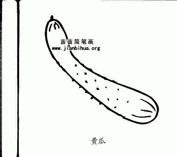 黄瓜简笔画与来源