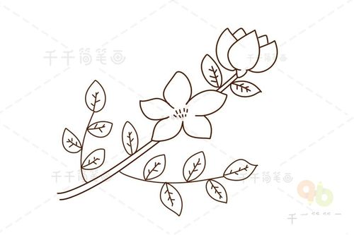 茉莉花简笔画