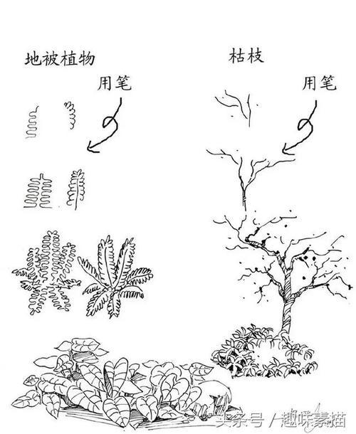 绿色植物简笔画风景