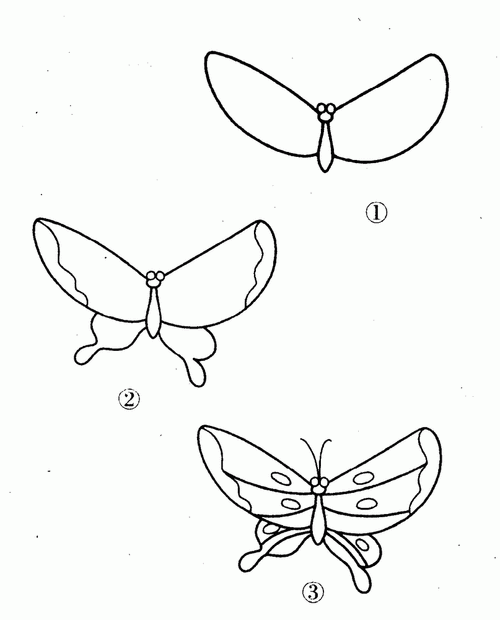 画蝴蝶的简笔画画法