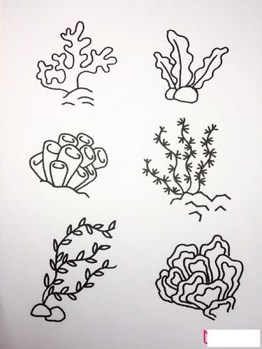 漂亮的儿童简笔画大全各种海底生物简笔画