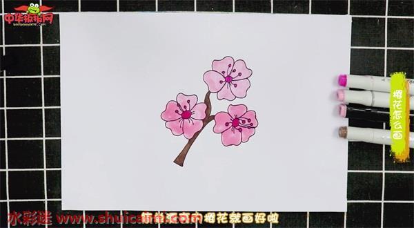 樱花怎么画樱花简笔画简单好看带颜色