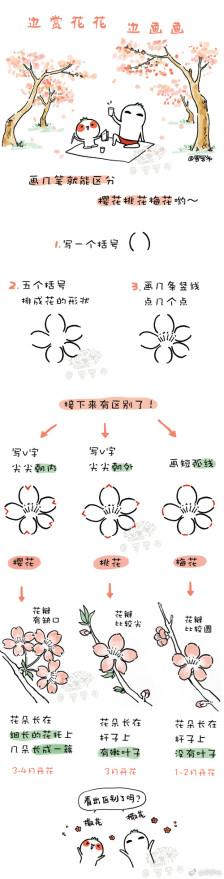 画几笔就能区分樱花桃花梅花哟罗罗布简笔画一边赏花一边画画