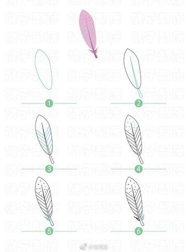 鸡羽毛结构简笔画