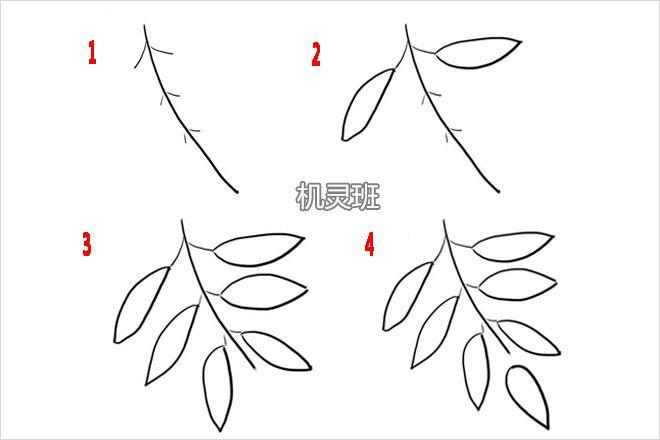 怎么画10种简单好看的叶子简笔画步骤图解机灵班