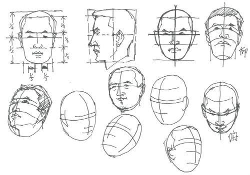 人头比例图简笔画
