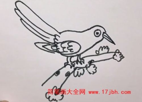 杜鹃鸟简笔画手绘图杜鹃鸟怎么画简单又漂亮