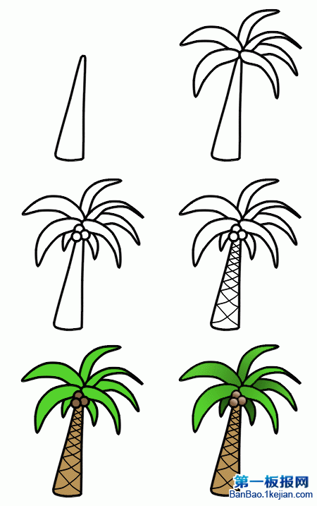 如何画椰子树简笔画图片howtodrawpalmtrees