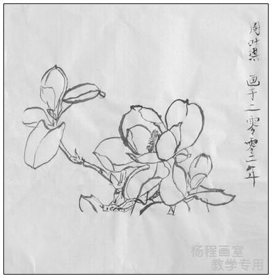 小学工笔花卉简笔画