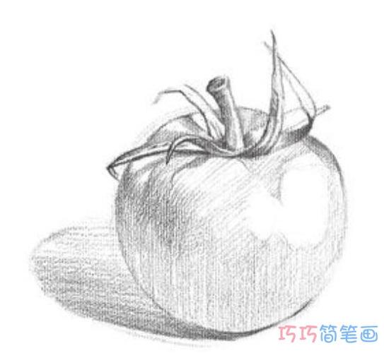 卡通西红柿素描怎么画好看西红柿简笔画图片