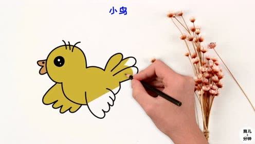 简笔画小小鸟