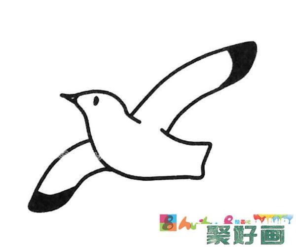 4款可爱的海鸥简笔画图片大全怎么画简笔画教程