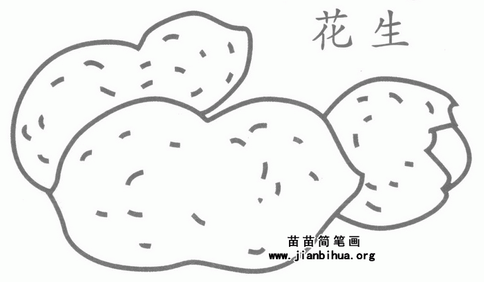 花生简笔画怎么画图解