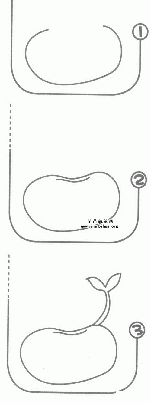 豆芽简笔画图片教程