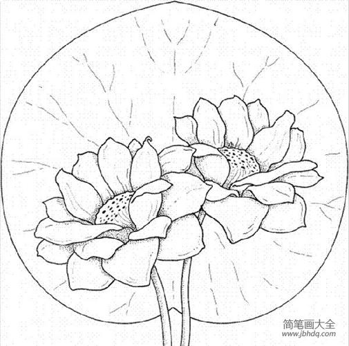 花朵的画法大全漂亮的花朵简笔画