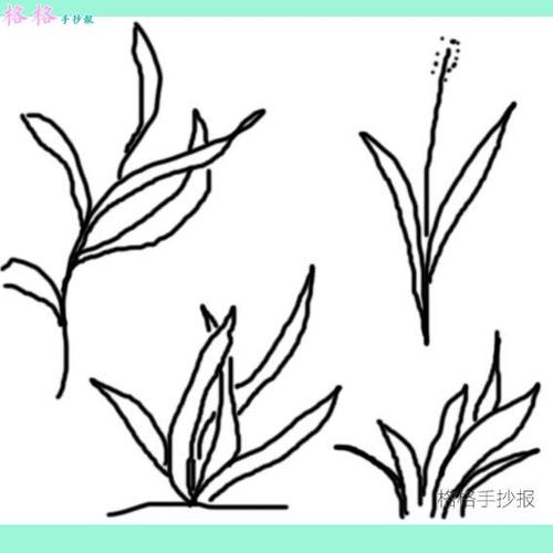 草的简笔画画小草的画法图片