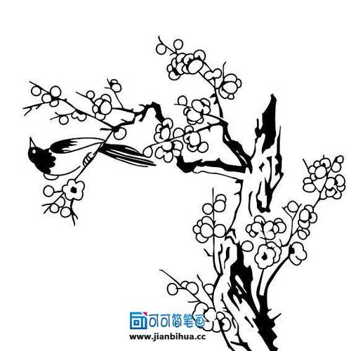 梅花树枝简笔画如何画梅花和梅花树干国画