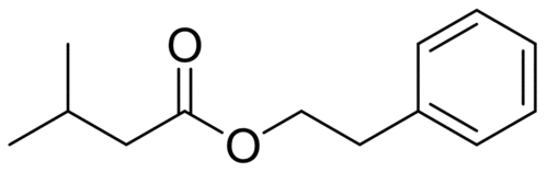 iso更新简笔画