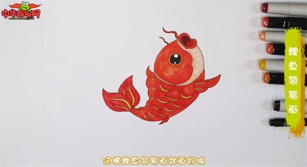 鲤鱼简笔画