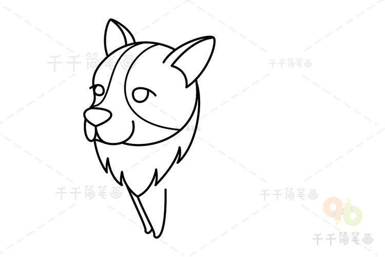 冰岛牧羊犬简笔画教程狗简笔画