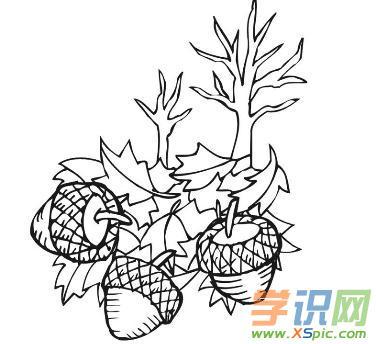 秋天动植物简笔画图片