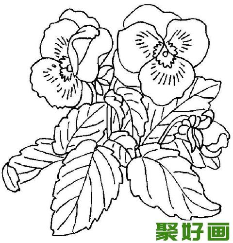 简笔画花卉大全各种植物花儿简笔画图片26副下