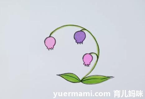 风铃花花朵简笔画教程图片