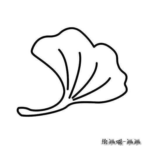 银杏叶植物简笔画步骤图片大全