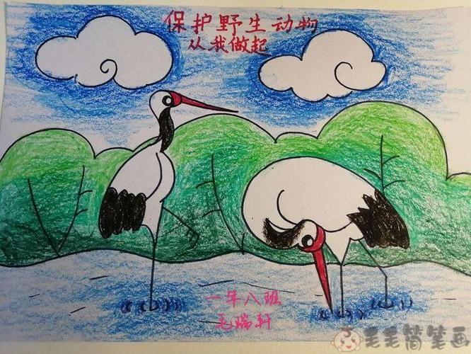 保护动物儿童绘画一等奖 - 毛毛简笔画