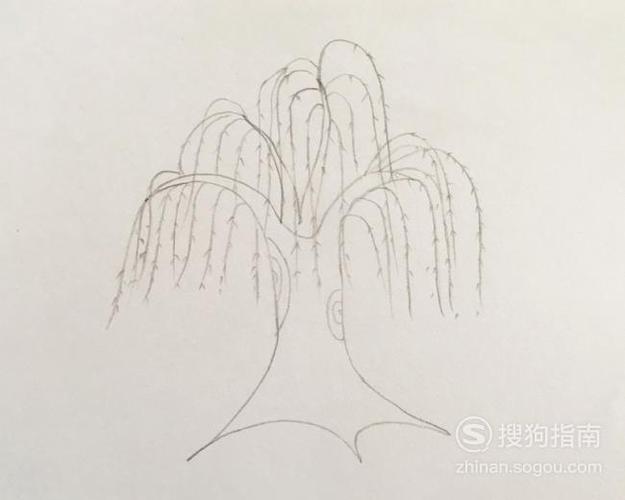 简笔画杨柳依依如何画柳树优质