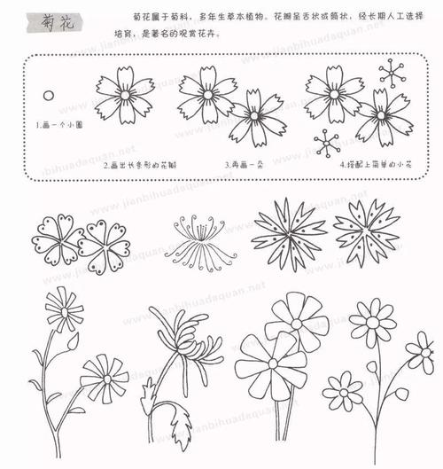 简笔画教程儿童植物简笔画大全上