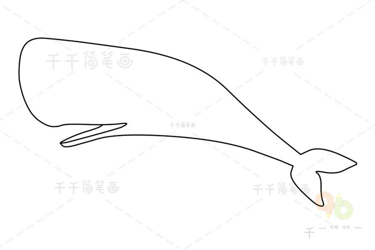 抹香鲸简笔画 幼儿启蒙画